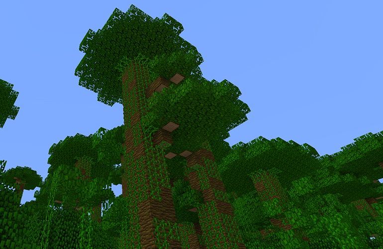 ジャングルの木